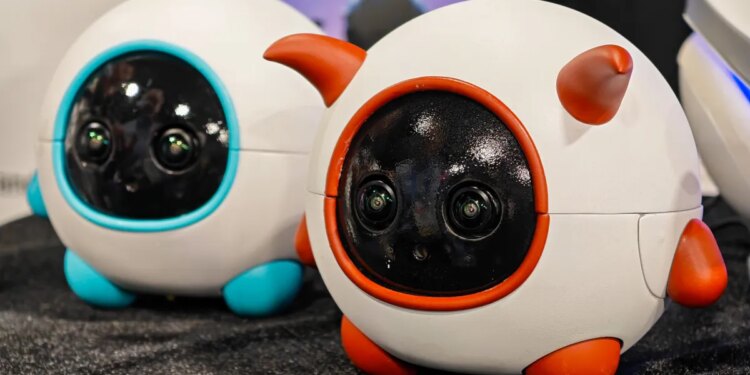 This robot companion is a cameraman for your pet