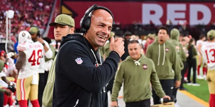 San Francisco 49ers defensive coordinator Robert Saleh reacts to a play.