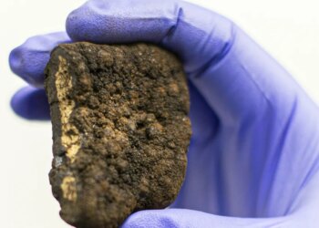 Trump is steamrolling global calls for a moratorium on deep-sea mining