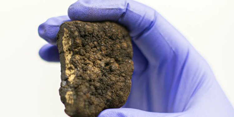 Trump is steamrolling global calls for a moratorium on deep-sea mining