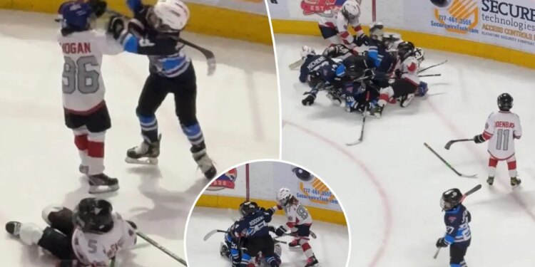 Youth hockey players get into wild brawl during game at AHL rink