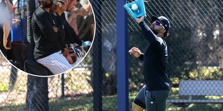 Amed Rosario could be key to salvaging Jasson Dominguez's Yankees future