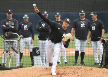 New York Yankees pitcher Carlos Lagrange #84 pitches during spring training at Steinbrenner Field.