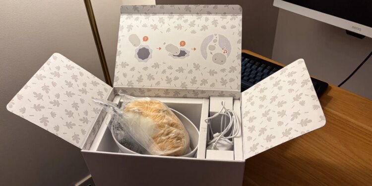 Moflin in its packaging.