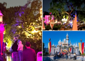 Couple claims a tree fell on them at Disneyland