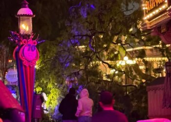 Fallen tree at Disneyland, blocking a path near the Plaza Inn.