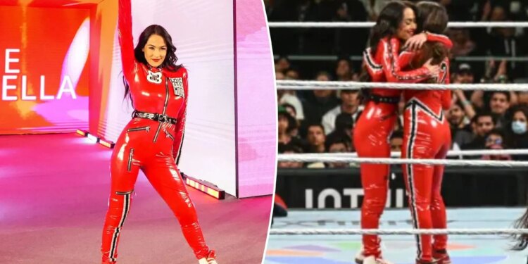 How WWE can maximize Brie Bella's thrilling return at Royal Rumble