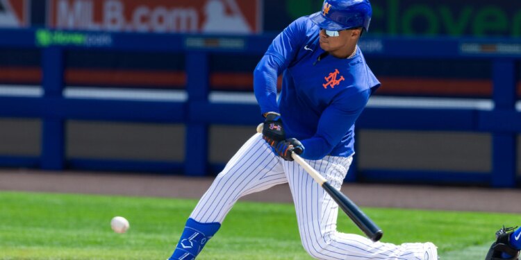 Juan Soto's rare continuity a 'good feeling' as overhauled Mets roster settles into place