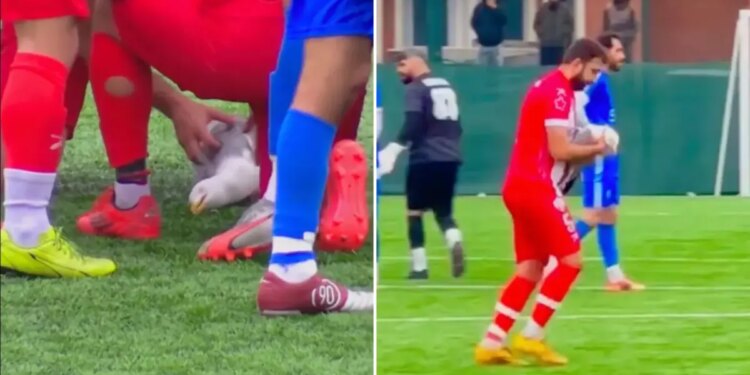 Turkey soccer player Gani Catan uses CPR to revive seagull struck by ball during playoff match