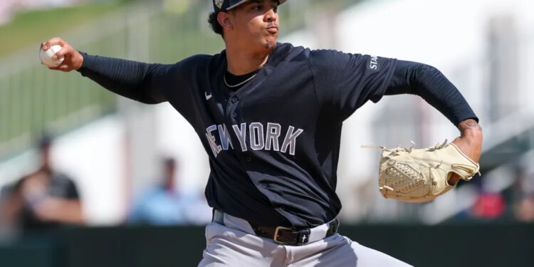 New York Yankees pitcher Carlos Lagrange (84) throws a pitch against the Minnesota Twins during spring training.