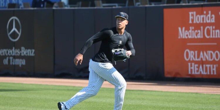 New York Yankees right fielder Aaron Judge in uniform, looking to catch a fly ball during spring training.