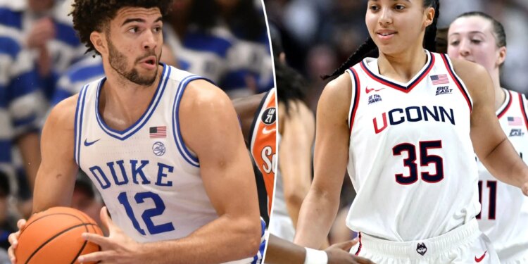 Your all-in-one college basketball guide with March Madness in sight