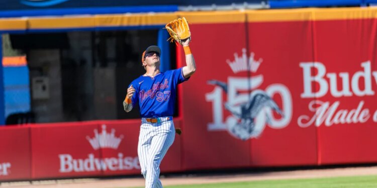 A.J. Ewing catches a fly ball from St. Louis Cardinals Chase Davis in the fifth inning during Spring Training at Clover Field, Wednesday, Feb. 25, 2026.