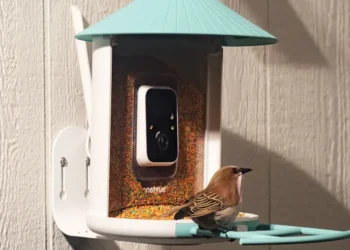 Amazon’s Big Spring Sale is a great time to get a fancy, AI-powered bird feeder