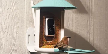 Amazon’s Big Spring Sale is a great time to get a fancy, AI-powered bird feeder