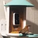 Amazon’s Big Spring Sale is a great time to get a fancy, AI-powered bird feeder