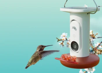 Birdbuddy’s AI-powered hummingbird feeder is matching its best price to date
