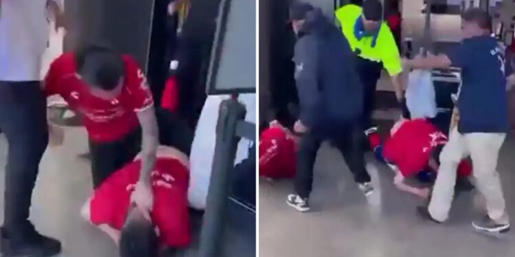 Chivas, Atlas fans brawl during game at BMO Stadium