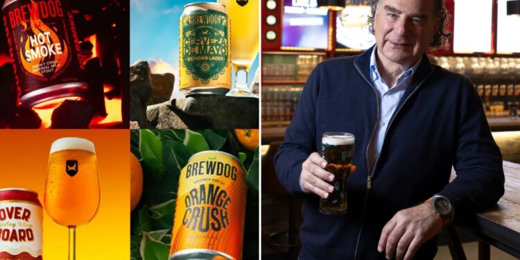 Craft beer BrewDog to launch in Hamptons after Tilray CEO buys troubled brewer