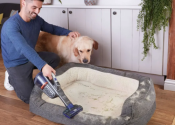 Here are our favorite spring cleaning deals from Amazon’s Big Spring Sale