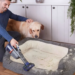 Here are our favorite spring cleaning deals from Amazon’s Big Spring Sale