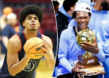 Here's how to watch Arizona vs. LIU