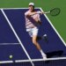 How to watch Sinner vs. Medvedev in Indian Wells Open men's final for free