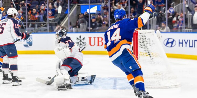 Bo Horvat (14) of the New York Islanders celebrates his goal against Columbus Blue Jackets Goaltender Jet Greaves (73).