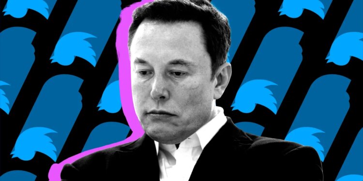 Jury finds Elon Musk’s ‘stupid tweets’ caused Twitter investors’ losses