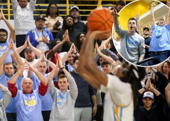Meet the 'Fins up' guys who put LIU hoops fans on the map