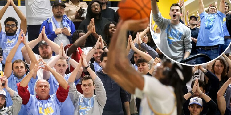 Meet the 'Fins up' guys who put LIU hoops fans on the map