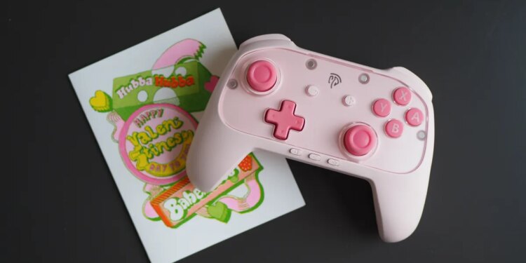 My Switch 2 thinks the $40 S10 Lite is Nintendo’s $90 controller