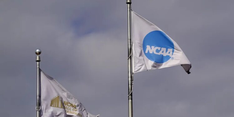 NCAA logo flags at the Hall of Champions in Indianapolis.