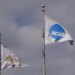 NCAA logo flags at the Hall of Champions in Indianapolis.