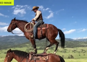 OpenAI just gave up Sora and its billion-dollar Disney deal