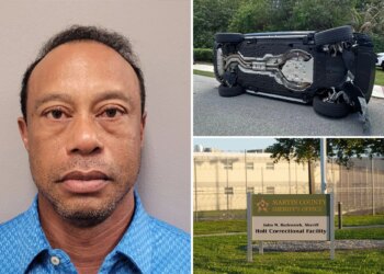 Tiger Woods mugshot revealed after crash, DUI arrest