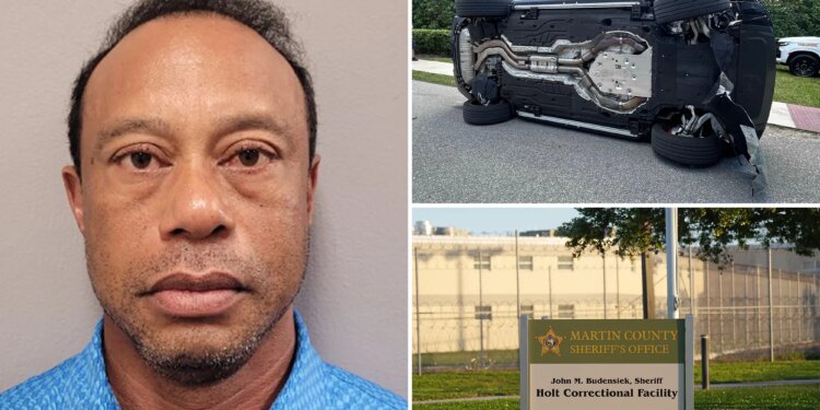 Tiger Woods mugshot revealed after crash, DUI arrest