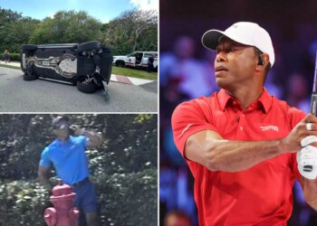 Tiger Woods needs serious help after latest car incident