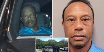 Tiger Woods released from Florida jail hours after car crash DUI arrest