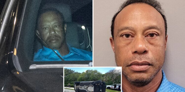Tiger Woods released from Florida jail hours after car crash DUI arrest