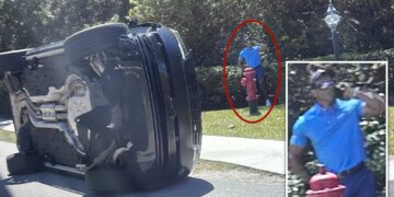 Tiger Woods spotted using cell phone on side of road after alleged Florida DUI crash