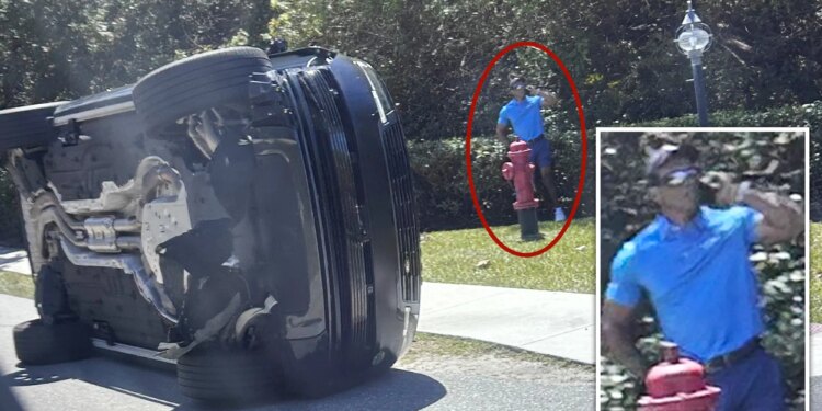 Tiger Woods spotted using cell phone on side of road after alleged Florida DUI crash