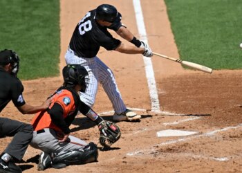 New York Yankees first baseman Paul Goldschmidt (48) hits a single.