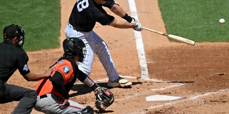 New York Yankees first baseman Paul Goldschmidt (48) hits a single.