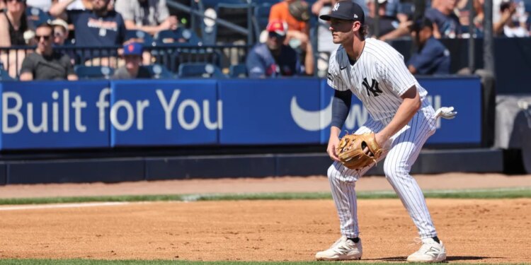 New York Yankees third baseman Ryan McMahon #19 on the field during the 1st inning.