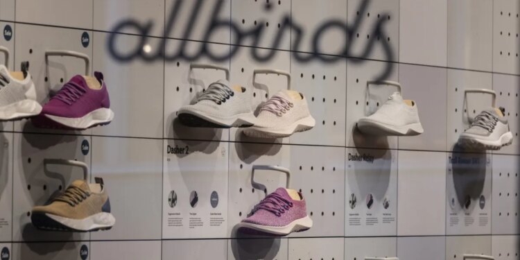Allbirds announced a switch from shoes to AI and its stock jumped 600 percent