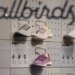 Allbirds announced a switch from shoes to AI and its stock jumped 600 percent
