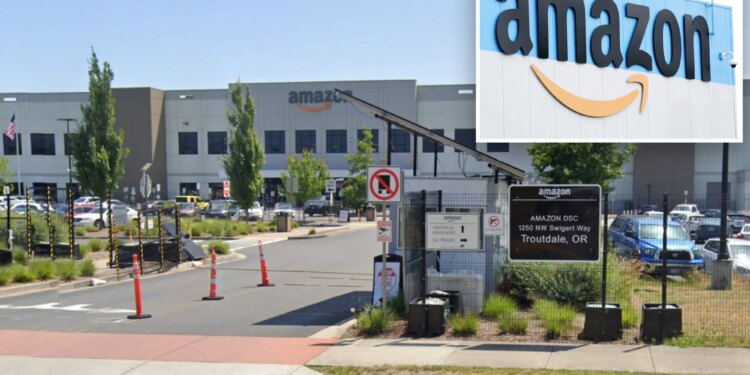 Amazon warehouse employee dies after collapsing on the job as colleagues kept working: report