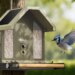 Birdfy’s new 4K feeder wants to teach you about the birds it identifies