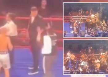Boxer attacked by fans with chairs in chaotic scene after winning fight